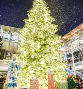 Holiday Tree Lighting Ceremony
