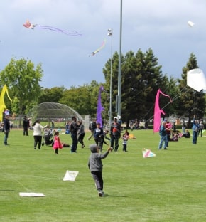 San Ramon Art & Wind Festival