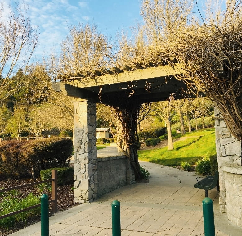 Central Park
