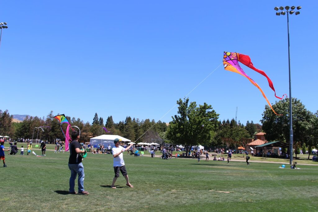 Art Wind Festival Kites